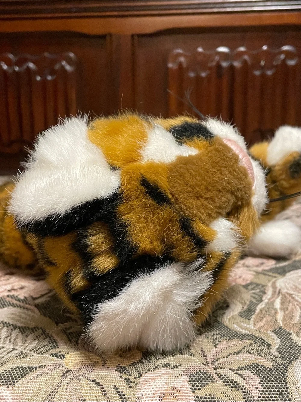 Boyd’s plush tiger cat.